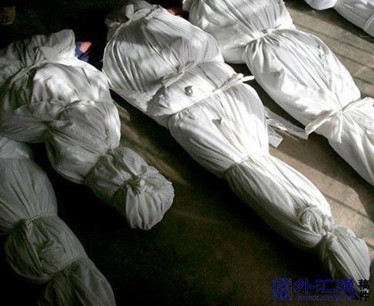 维基解密网站创始人阿桑奇被捕是揭了谁的老底?